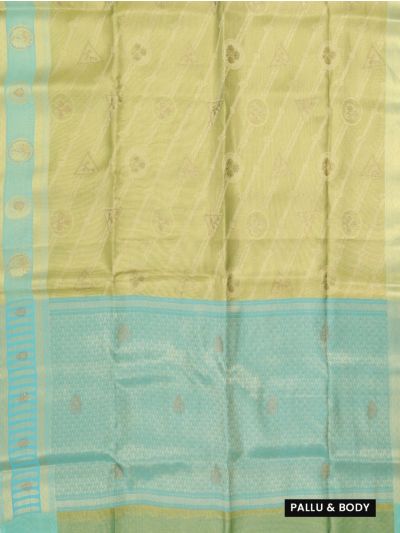 Gracecharm Fancy Semi Tissue Diagonal Lines Circular Floral Saree
