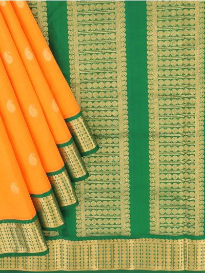 Traditional Arani Turmeric Yellow Pure Silk Nine Yards Plain with Gold Zari weave Border Saree