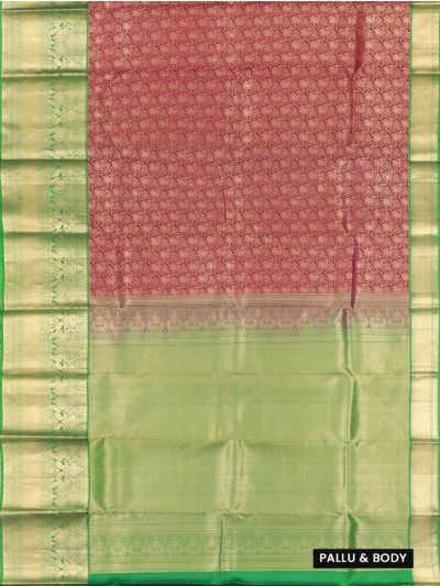 Gracecharm Paisley Floral Jaal Peacock Zari Border Silk Saree