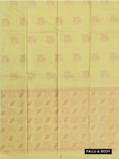 Kanmanie Softy Silk Fern-Shaped Motifs Borderless Saree