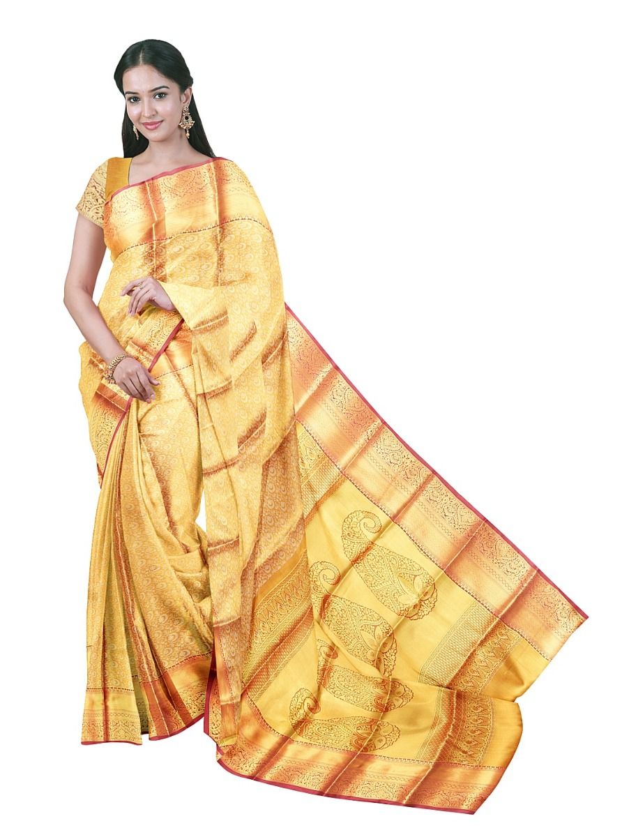 Gracecharm Tissue Soft Silk Floral Vine Jaal with Paisley Pallu Saree