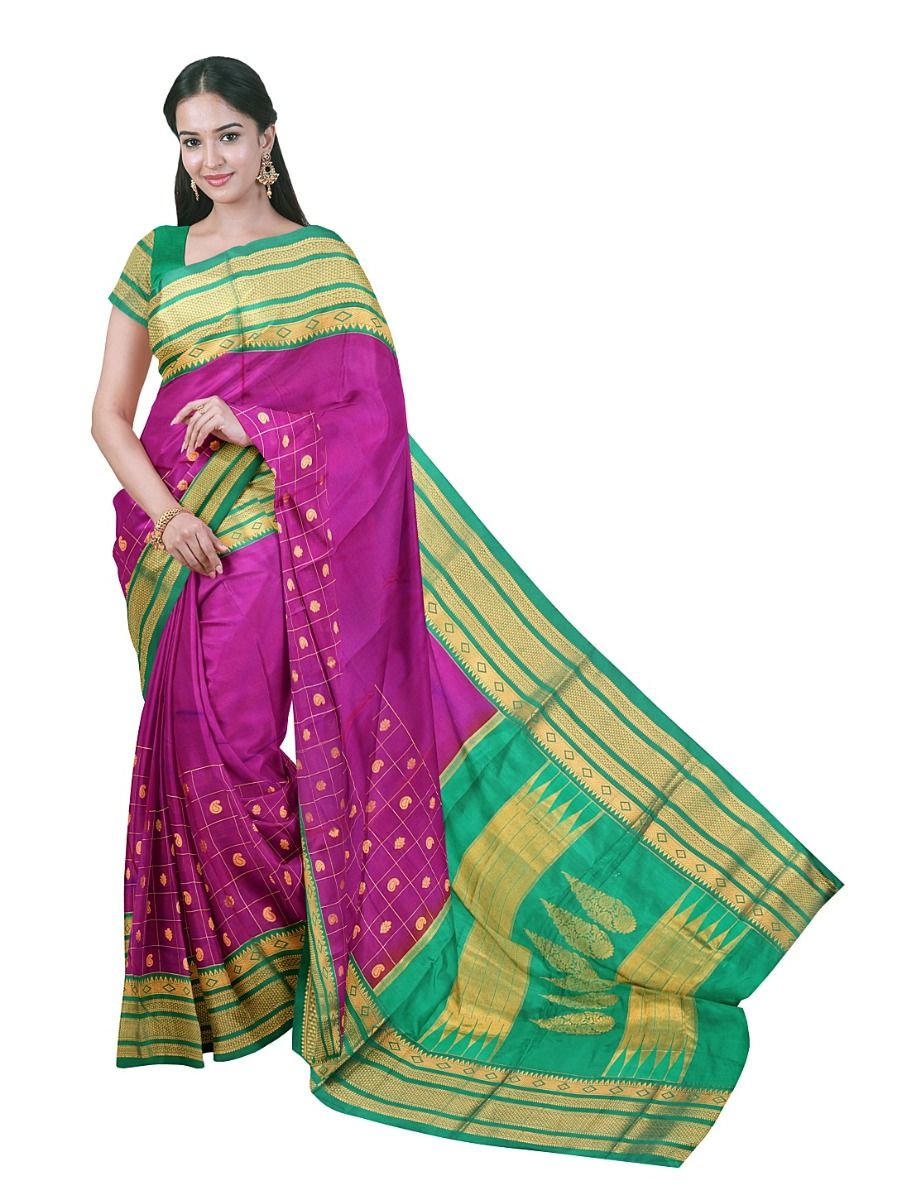Dharward Cotton Magenta Paisley Checks Mango Pallu Saree